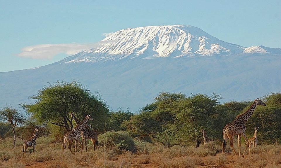 Kilimanjaro from Selenkay by Wilson ole Kasaine