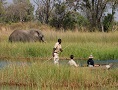 Botswana Lodge and Mobile Safari