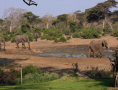 Botswana Parks & Reserves