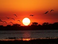 Chobe National Park & Chobe Forest Reserve