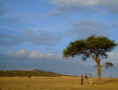 Kenya Discovery (4x4 Safari) & Masai Mara