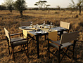 Serengeti Luxury Safari