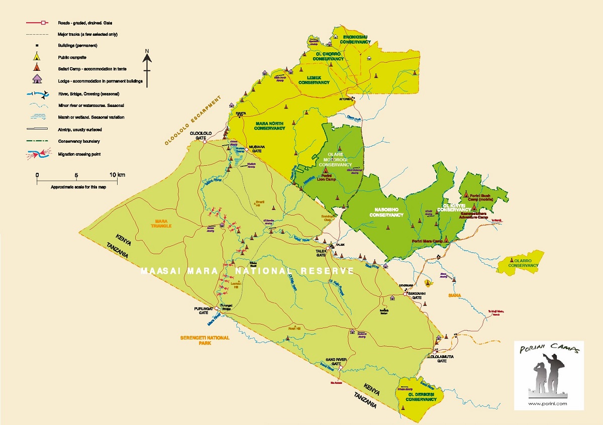La Gran Migración: parques de Masai Mara y Serengeti - Foro África del Este