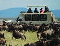 Tanzania Mobile Camping Safari