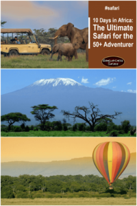 Here's a taste of how you could spend 10 days experiencing the wondrous sights, rich culture, and wild animals of Africa.
