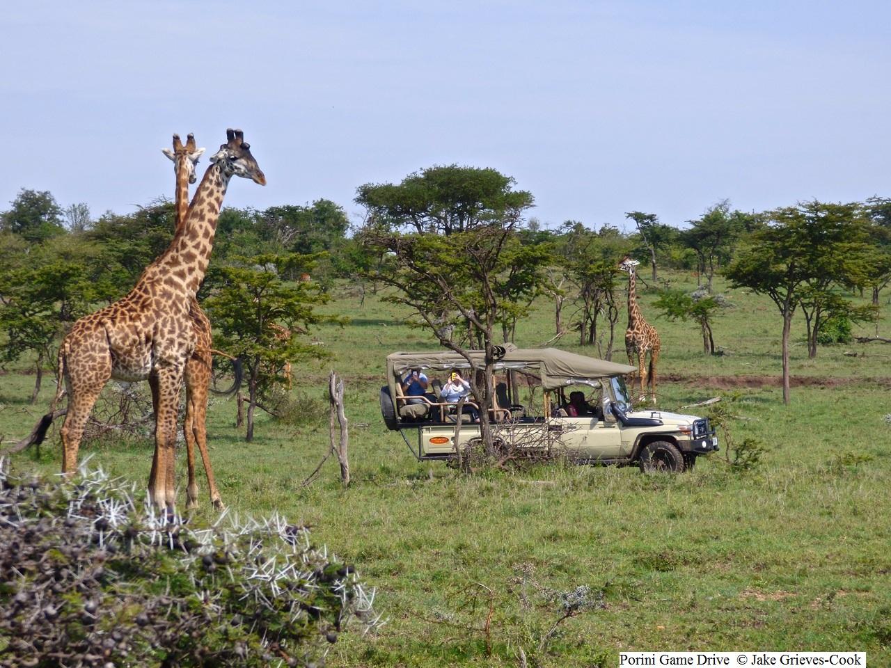 15 Unusual Animals in Kenya from Gamewatchers Safaris