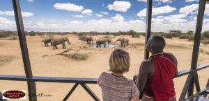 The Right Way (and Wrong Way) to Take an African Safari