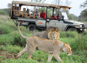48 Hours in Porini Mara Camp: An In-Depth Look at Safari Life in Kenya