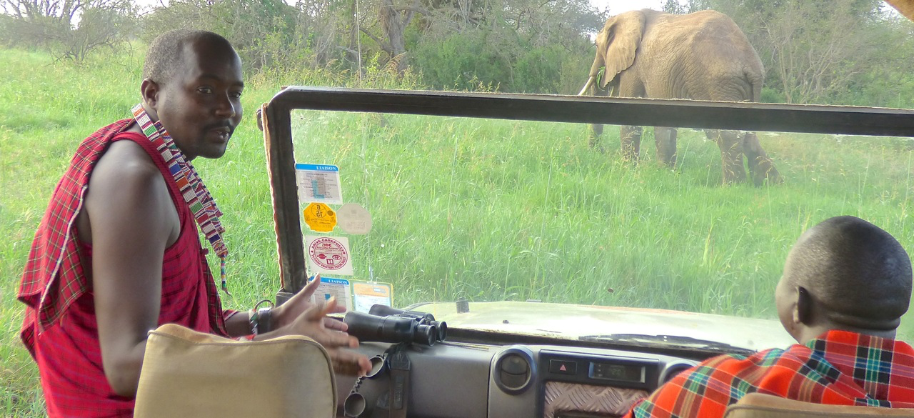 Tracking Kenya's Wildlife with the Porini Guides