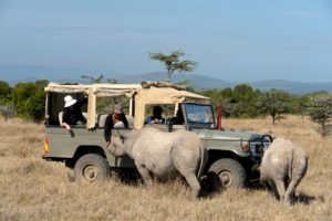 An Introduction to Safari Conservancies in Kenya