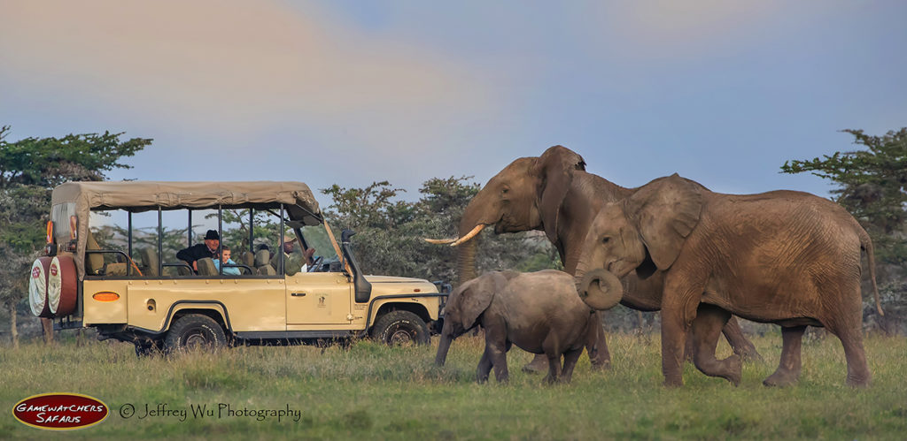 safari kenia packliste