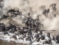 7 Day Wildebeest Migration Safari
