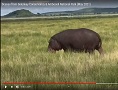 Scenes from Selenkay Conservancy & Amboseli (May 2021)