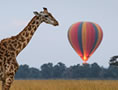 Balloon Safari Tours in Kenya