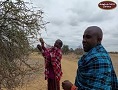An Escorted Nature Walk At Porini Amboseli Camp, Selenkay Conservancy