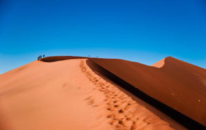 Desert Whisper -Sossusvlei Dune
