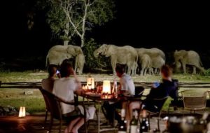 Ongava Tented Camp - Elephants