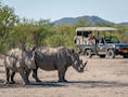 Namibia Safari Itineraries and Tours