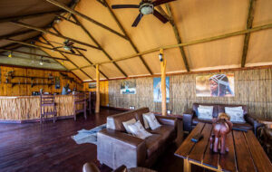 Chobe River Camp Tent Bar area
