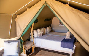 Twyfelfontein Adventure Camp Standard Tent