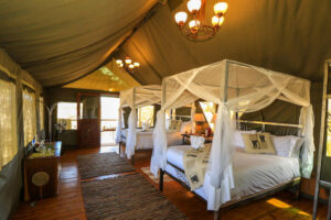Bomani Tented Lodge Saddlebill Tent