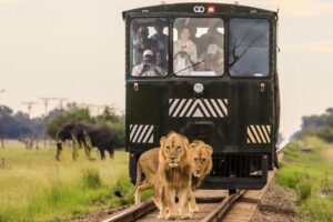 Imvelo Safaris Elephant Express Train