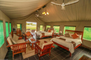 Bomani Tented Lodge Spurwing Tent Interior