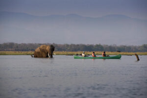 Zambezi Expeditions Canoe Safari