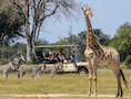Explore Hwange Safari 8 Days - From US$4265